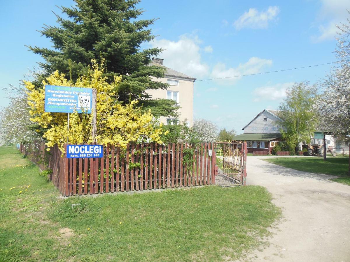 Niezapominajka Villa Jenki Exteriör bild